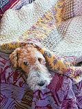 Jasper Undercover_01507